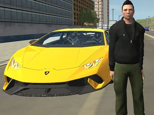 GRAND CITY CAR THIEF