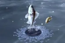 Ice Fishing 3D