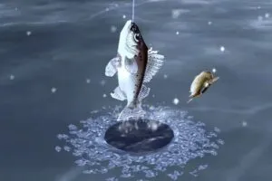 Ice Fishing 3D