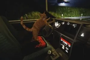 Nip for Speed