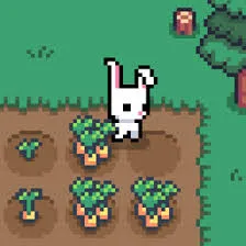 Bunny Farm