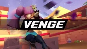 VENGE io
