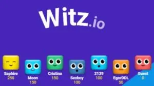 WITZ io